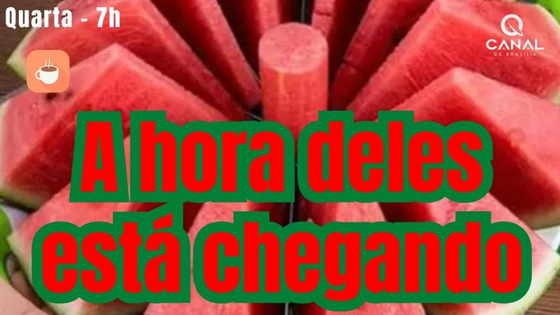 Informação do Brasil e do mundo - Amanhã, 13/11 às 7h no Canal de Brasília.