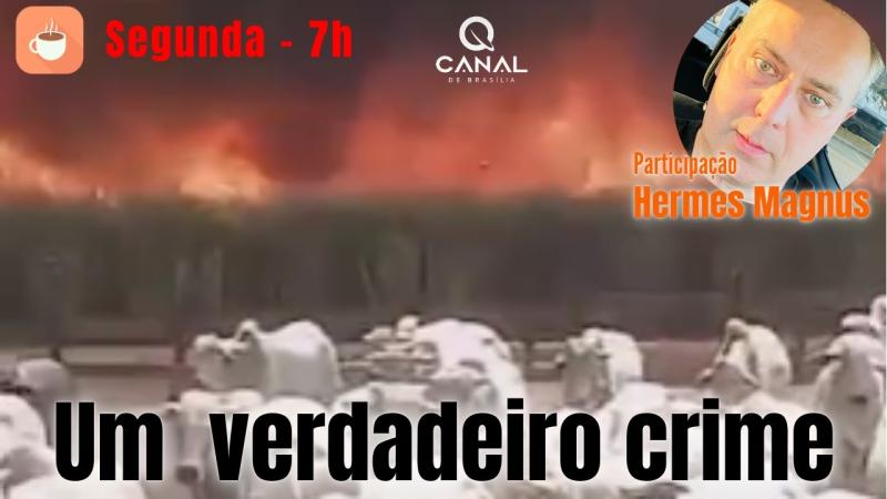 Amanhã. 26/08/2024, às 7h, com Alfredo Bessow, no Canal de Brasília - Um verdadeiro crime
