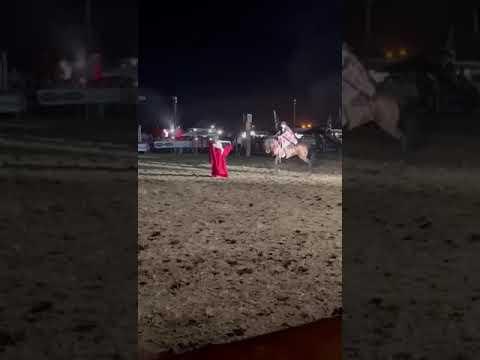 Dica do Políbio: O cavalo dançarino e a prenda gaúcha no picadeiro de Jaguarão, RS Foi no ano passado. São cenas impressionantes e emocionantes da cultura mais representativa do povo do Rio Grande do Sul. A mnúsica é 